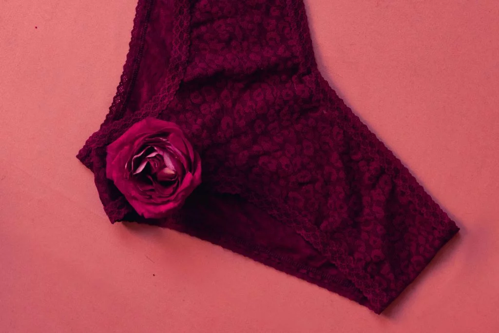 Culotte-En-Coton-Yamelia-Lingerie
